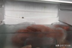冰箱排水孔结冰怎么解决最好办法（冰箱排水孔后背示意图）