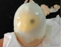冰箱毒鸡蛋（最毒三种过夜菜图片）