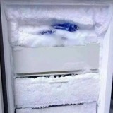 冰箱去冰霜的快速方法（一招冰箱永不结冰）