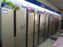 国产冰箱哪个品牌质量排在首位（国内哪个品牌的冰箱是质量最好）