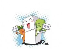 300升的电冰箱选哪个品牌好（300升冰箱推荐哪个）