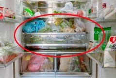 冰箱排水孔疏通器多少钱一个（通冰箱排水孔疏通器三件套）