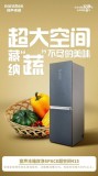 容声冰箱150升定制（容声冰箱有156升的吗）