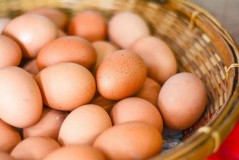 鲜鸡蛋放冰箱怎么放最好（鸡蛋放冰箱里最好方法）