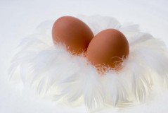 为什么新的鸡蛋不能放在冰箱（鸡蛋为什么买来不能直接放冰箱）