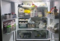 实用主义冰箱介绍（实用主义冰箱图片大全）