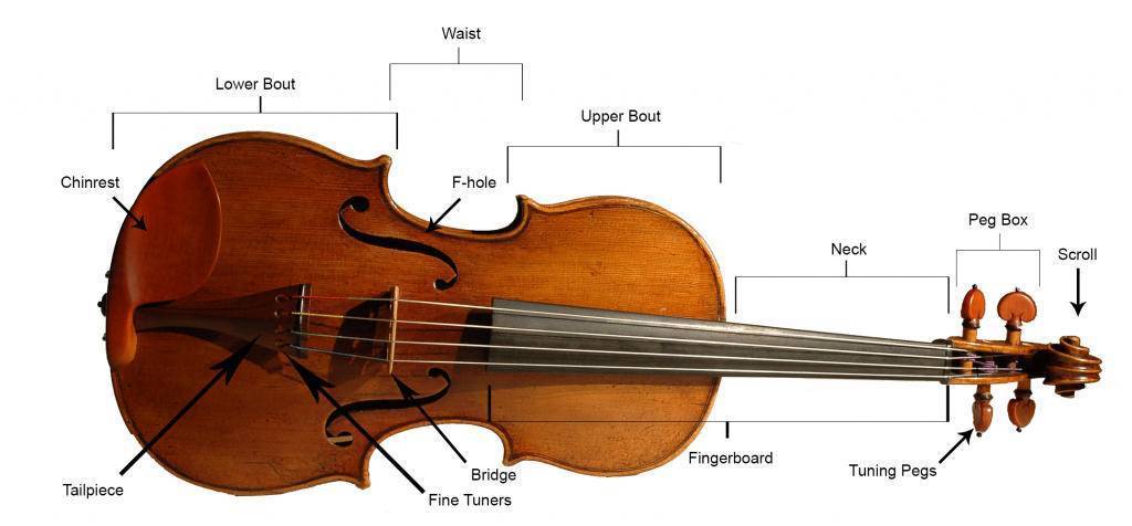 大提琴各部分结构名称（大提琴由哪几部分组成）