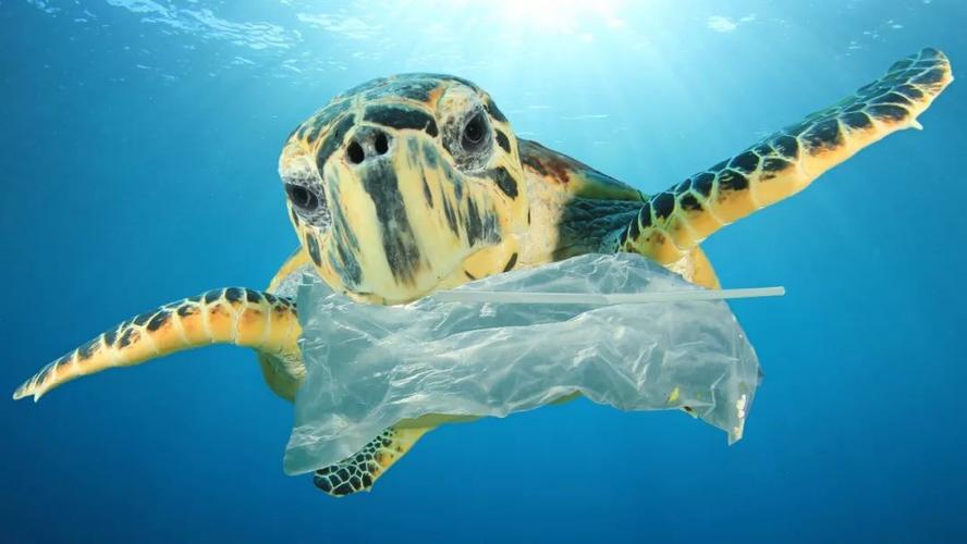 丢弃塑料袋对环境有哪些危害