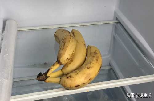 香蕉可以放冰箱冷藏一天（香蕉放冰箱的正确做法）