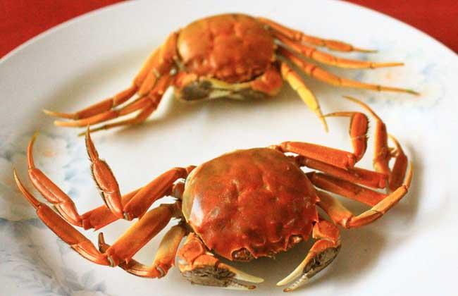 螃蟹爱吃的10种食物