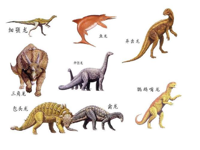 常见的恐龙名称有哪些