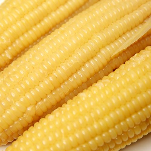 我想问一下白色粘玉米是不是转基因食品（有点甜味的粘玉米是转基因的吗）