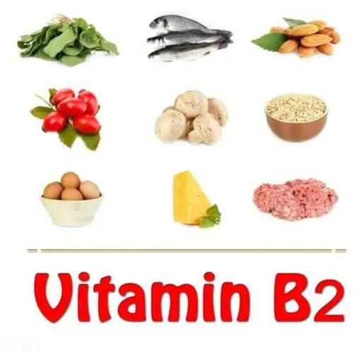 维生素b2的食物有哪些含维生素b2的食物和水果