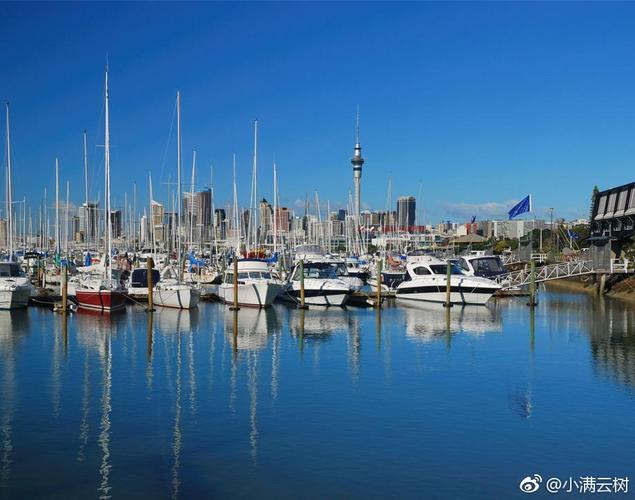 什么是新西兰最大城市和第一大港