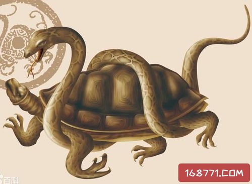 四大神兽中玄武是一只体型怪异的乌龟 那为什么不叫神龟而叫玄武呢