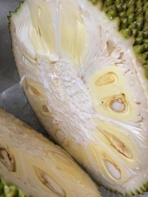 菠萝蜜生的放在冰箱里会变熟吗，菠萝蜜开了没熟可以放冰箱吗