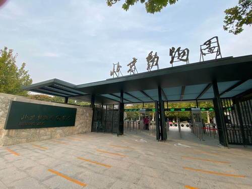 北京动物园初几开门