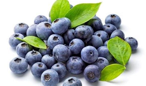 都柿和蓝莓是同一种水果吗