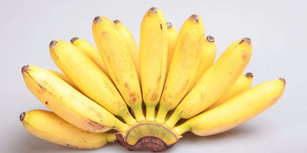 很细的香蕉什么品种