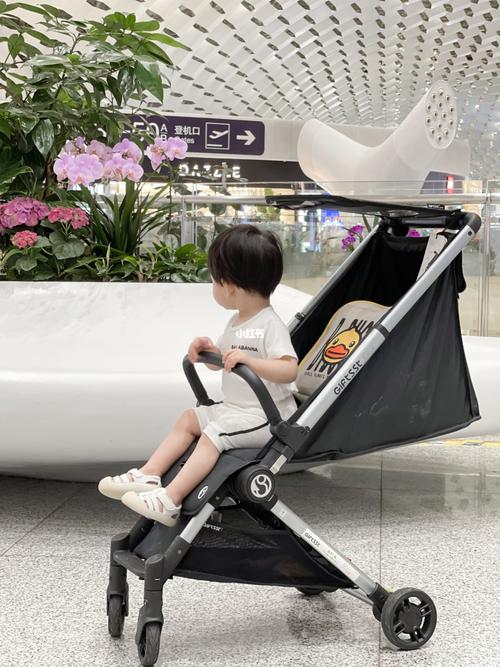 飞机上对婴儿推车有什么限制（坐飞机可以携带婴儿推车吗）