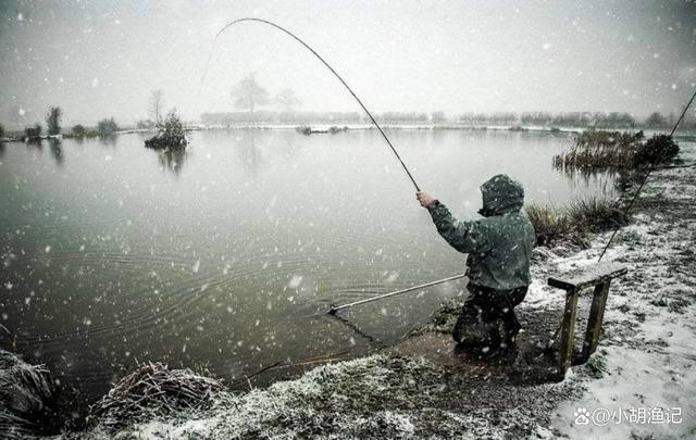 冬天野钓鱼的最佳温度