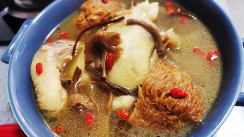 茶树菇鸡汤做法