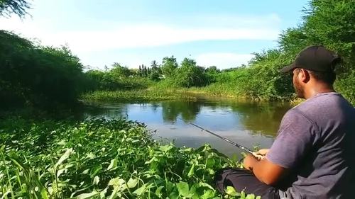 一般在农村野池塘钓鱼有什么技巧 吸引鱼上钩