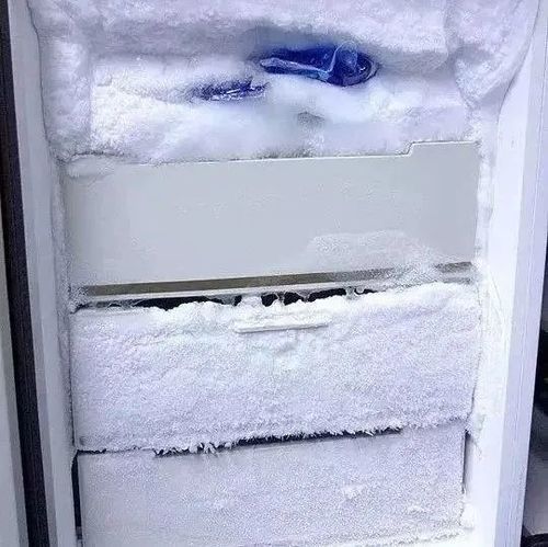 冰箱很久没开重新开要怎么处理（冰箱很久没用重新开启的正确方法）