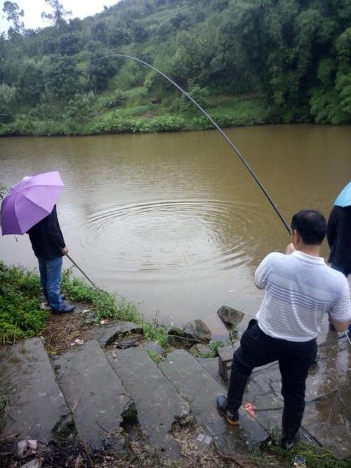 下雨钓鱼好钓吗