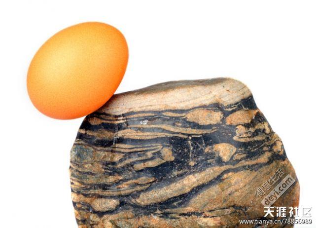 有一个鸡蛋 非常天真的和石头在一起了 磕磕碰碰 弄的自己身上伤痕累累 但鸡蛋一直坚持着 终（鸡蛋爱上石头的故事简短真实）