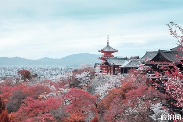国庆去日本旅游合适吗 会不会很多人（十一去日本旅游靠谱吗）