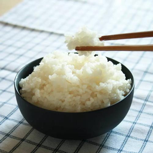人可以多少天不吃米饭