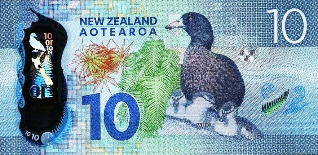 新西兰的货币是什么样的