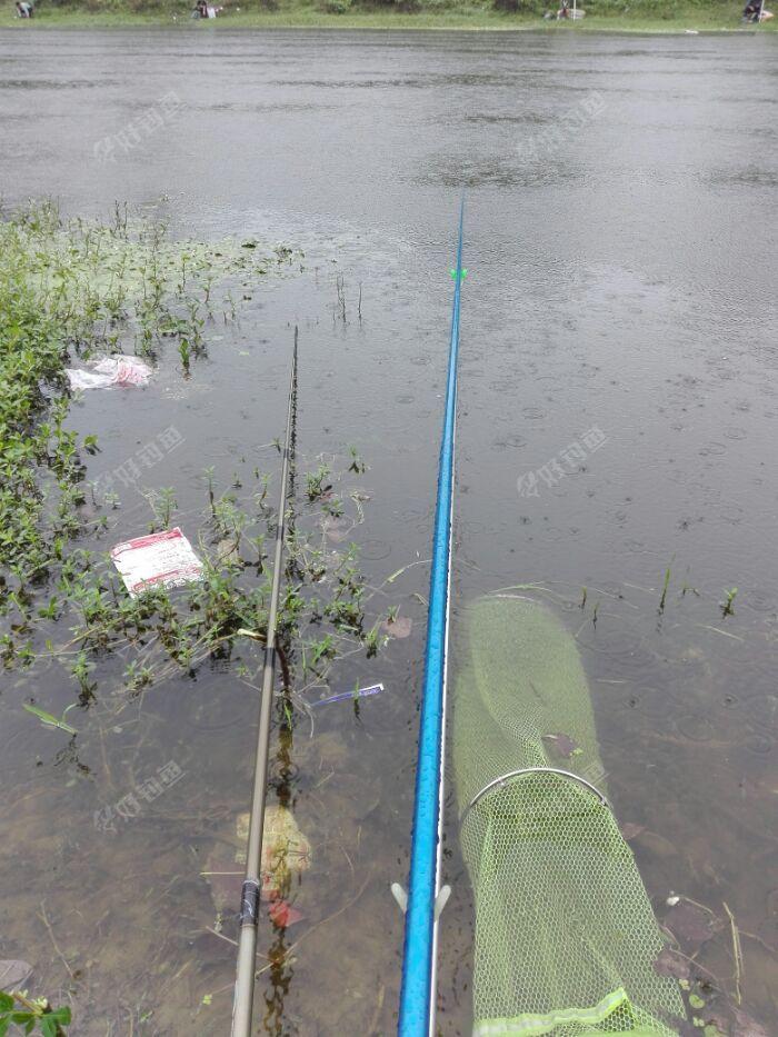 下雨天好钓鱼吗