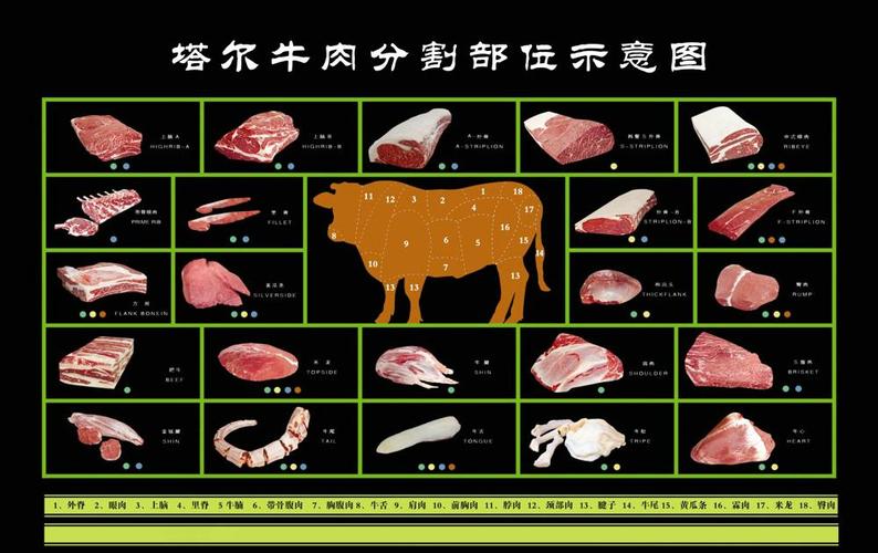 牛肉裙肉是哪个部位