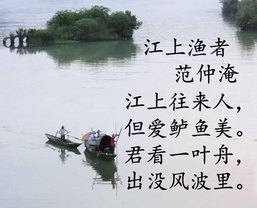 《江上渔者》的诗人采用了什么方法表达了什么情感