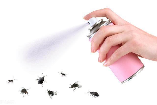 房间蚊子用什么方法消灭最好（家里蚊子很多教你一招蚊子死光光）