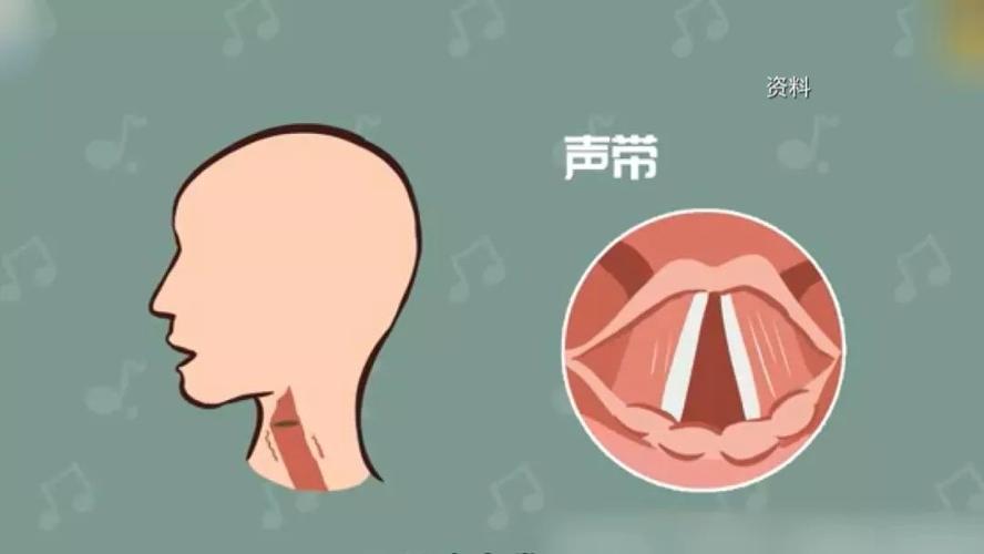 歌手怎么保护嗓子（歌手保护嗓子秘诀）