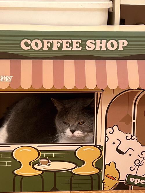 猫咪咖啡厅销售渠道和伙伴