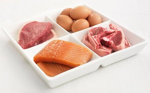 什么食物含蛋白质最高