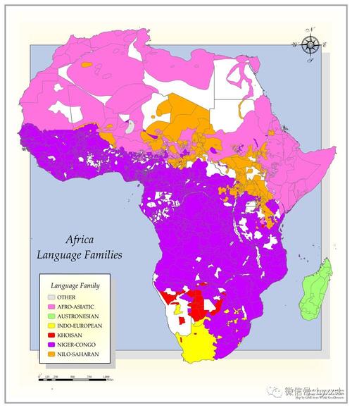 非洲说的是什么语言