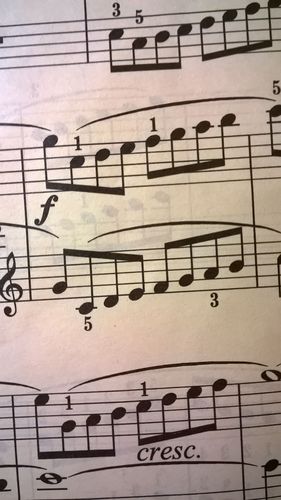 钢琴谱中的节拍是怎么看的