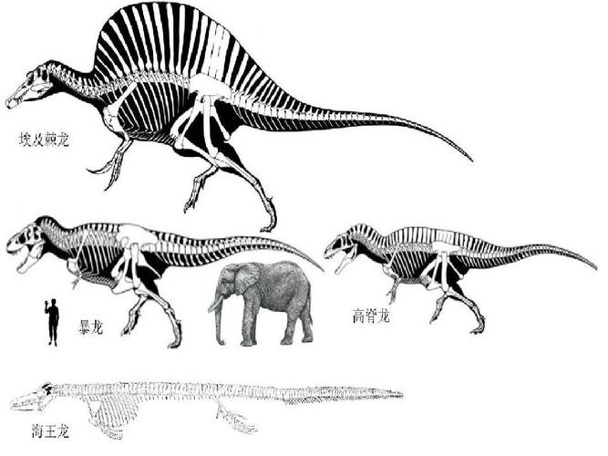 恐龙灭绝顺序