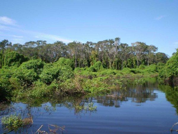 世界上最大的十大沼泽