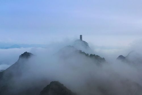 重庆云雾山每年大概有多少天有雾（重庆雾都白天和黑夜是一样有雾吗）