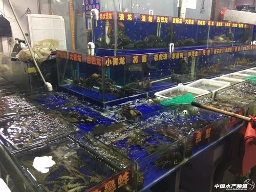上海最大的海鲜批发市场在那里