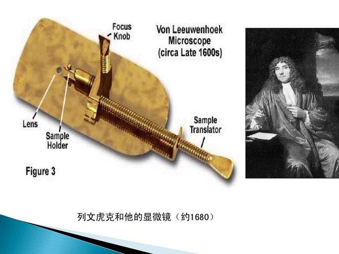 列文虎克发明显微镜启发
