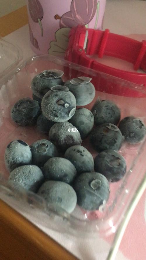 蓝莓冻起来吃还有营养吗（蓝莓煮熟了吃还有营养吗）