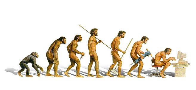 人物进化论由谁在几几年提出