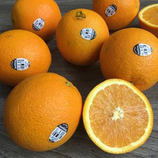 黄橙子是什么橙